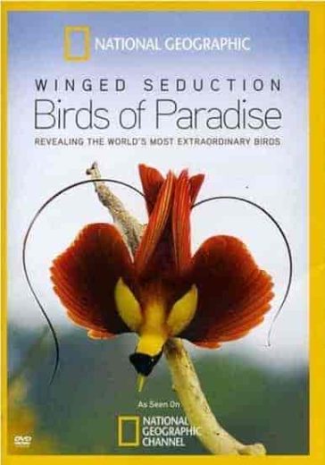 فيلم Winged Seduction: Birds of Paradise 2012 مترجم اون لاين