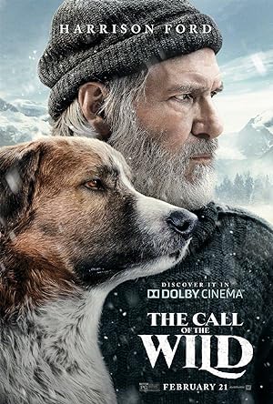 فيلم The Call of the Wild 2020 مترجم