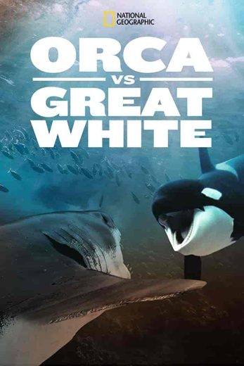 فيلم Orca vs. Great White 2021 مترجم اون لاين