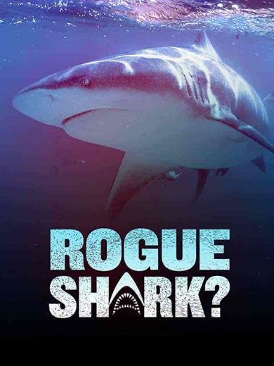 فيلم Rogue Shark 2021 مترجم اون لاين