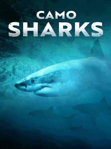 فيلم Camo Sharks 2022 مترجم اون لاين