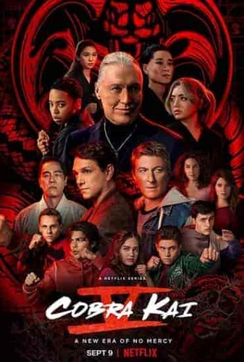 مسلسل Cobra Kai الموسم الخامس مترجم