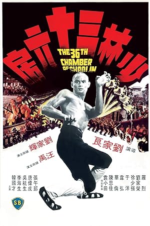 فيلم The 36th Chamber of Shaolin مترجم