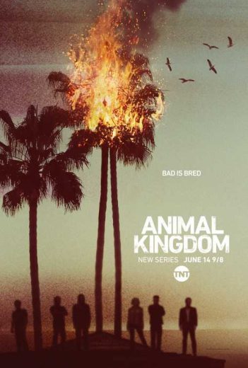 مسلسل animal kingdom الموسم الاول الحلقة 3 مترجمة