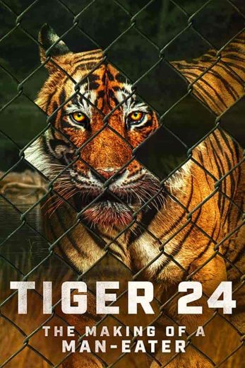 فيلم Tiger 24 2022 مترجم اون لاين