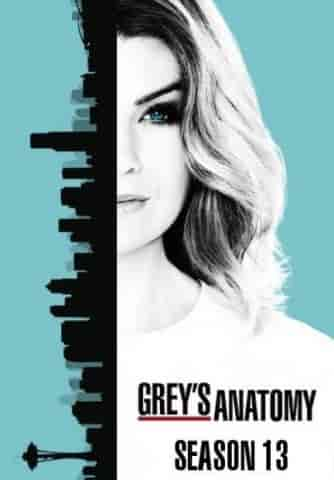 مسلسل grey's anatomy الموسم الثالث عشر الحلقة 24 والاخيرة